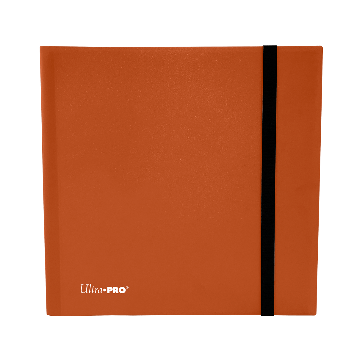https://cdn.shopify.com/s/files/1/0568/7915/3315/files/eclipse-12-pocket-pro-binder-387109.png?v=1737072382