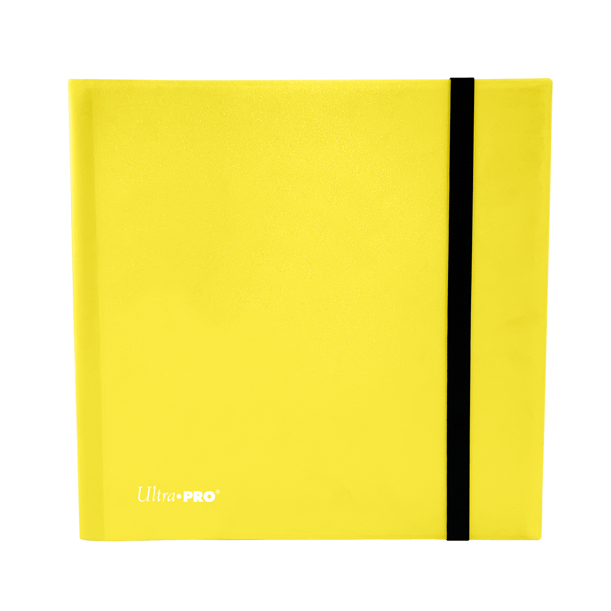 https://cdn.shopify.com/s/files/1/0568/7915/3315/files/eclipse-12-pocket-pro-binder-821835.png?v=1737072382