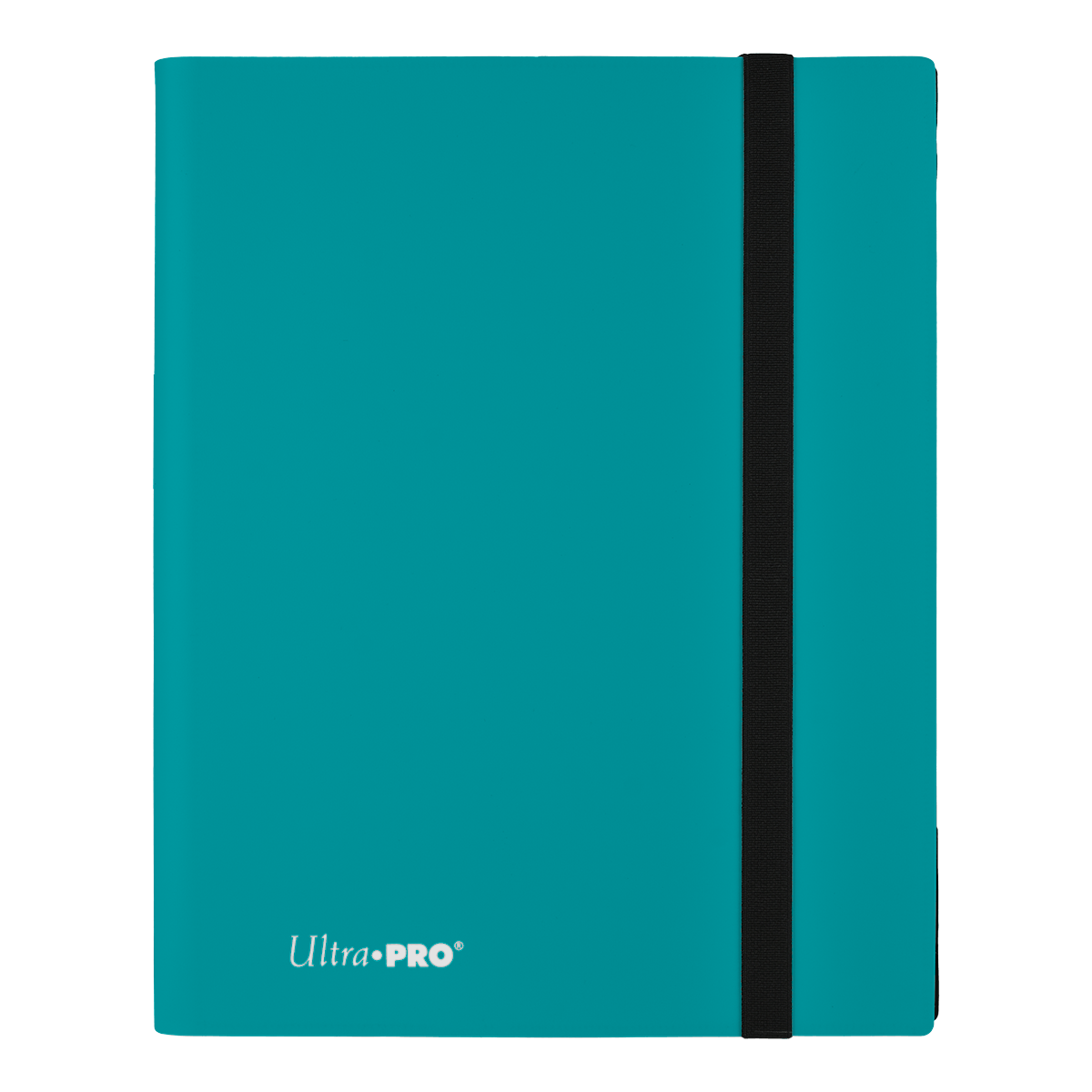 https://cdn.shopify.com/s/files/1/0568/7915/3315/files/eclipse-9-pocket-pro-binder-544495.png?v=1737074834